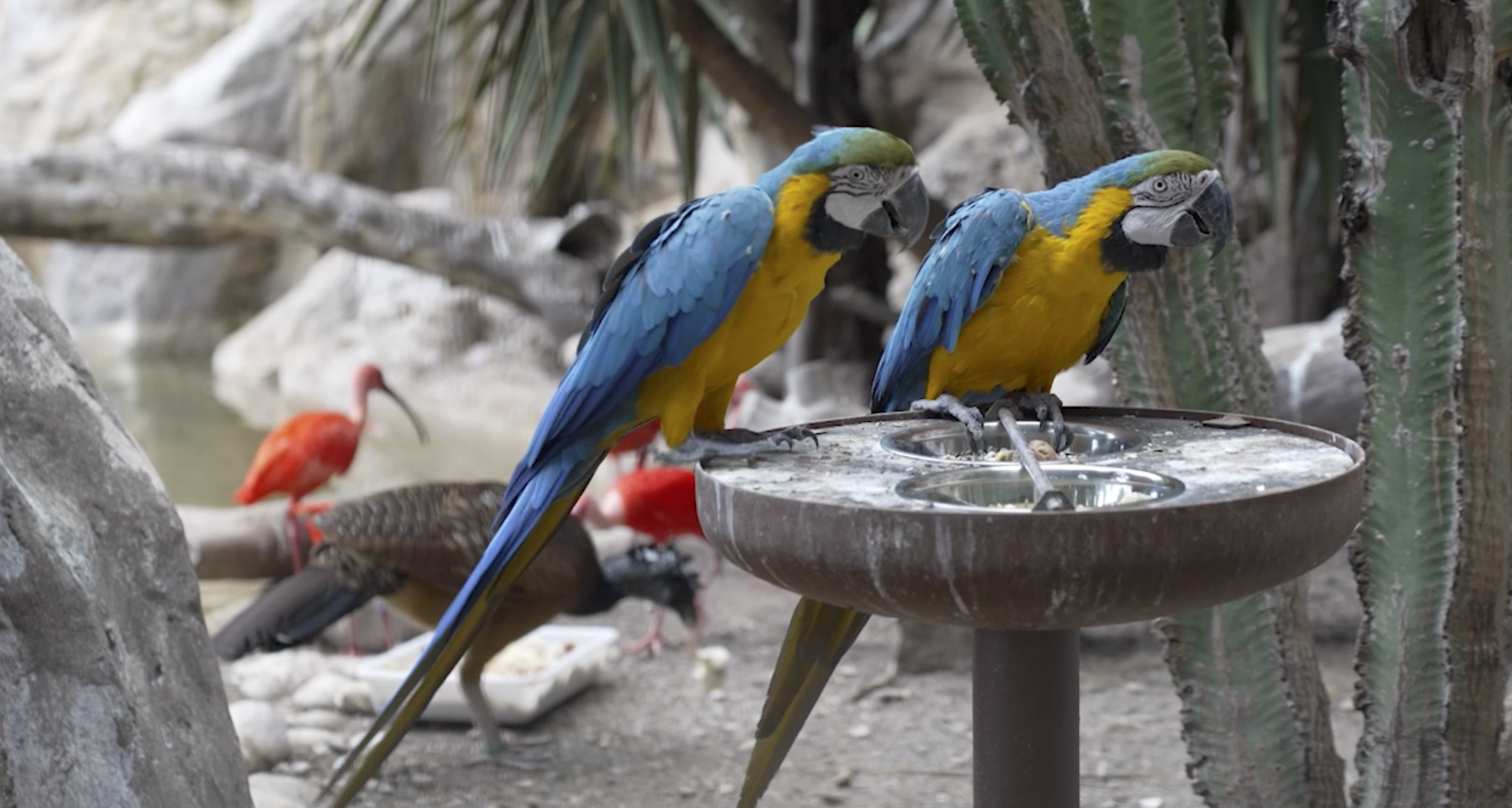 Jardin Animalier Rainier III